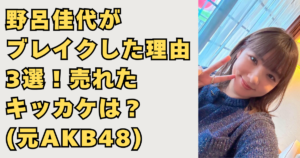野呂佳代がブレイクした理由の画像
