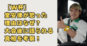 【W杯】堂安律が怒った理由の画像