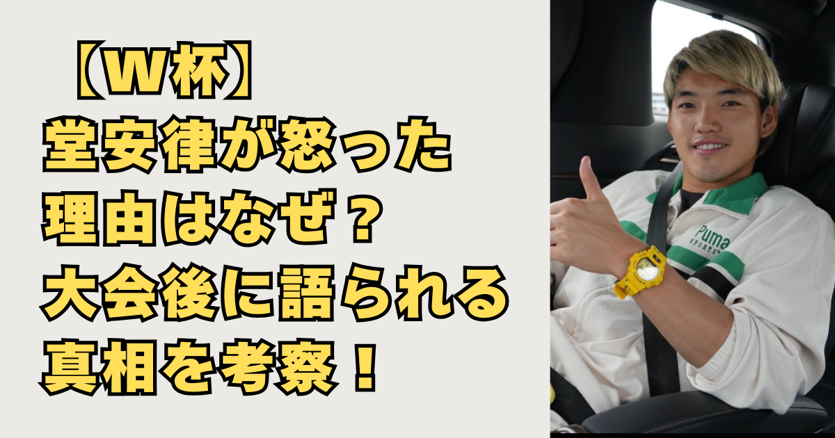 【W杯】堂安律が怒った理由の画像